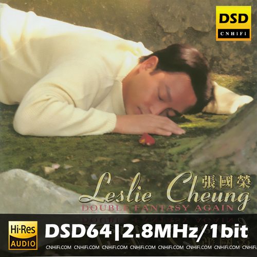 Double Fantasy Again