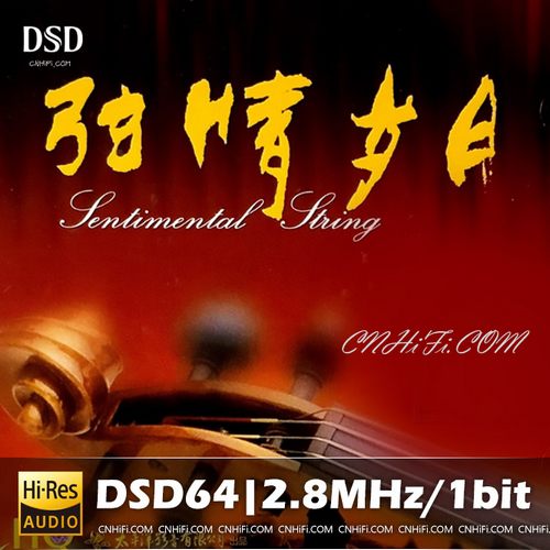 张毅《弦情岁月》1