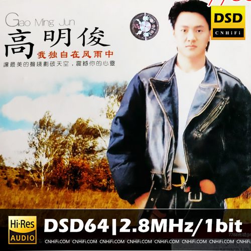 我独自在风雨中