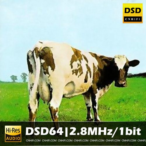Atom Heart Mother