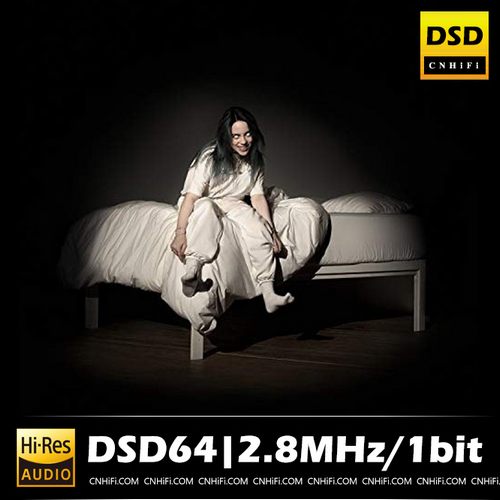 WHEN WE ALL FALL ASLEEP, WHERE DO WE GO?