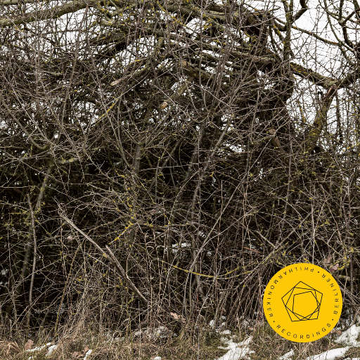 拉赫玛尼诺夫: 交响舞曲