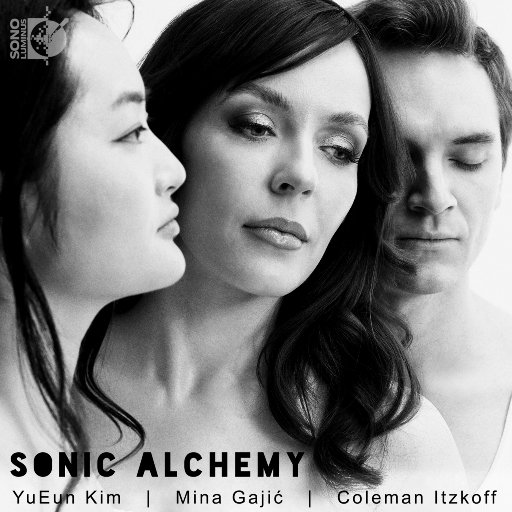 声音炼金术 (Sonic Alchemy)