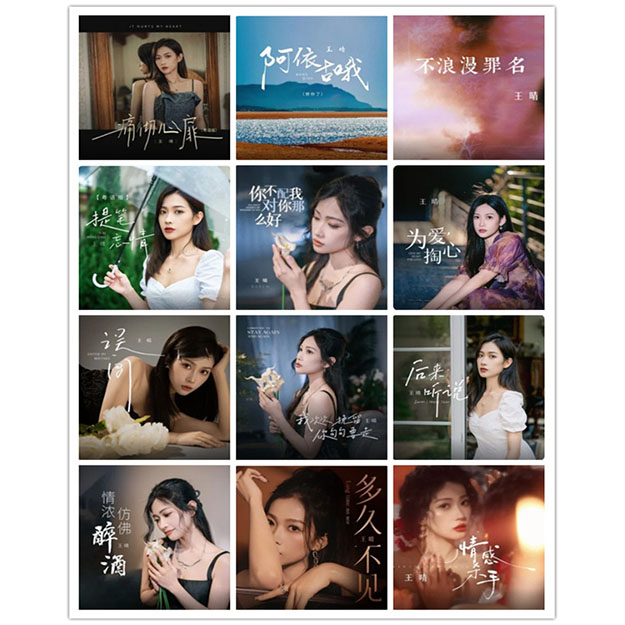 王晴 – 单曲合集2 [12曲]