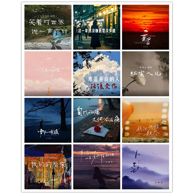 王佳音 – 单曲合集 [12曲]