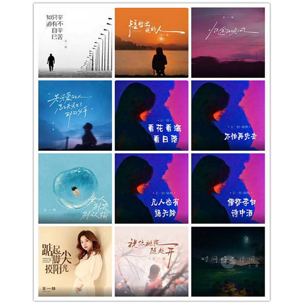 王一佳 单曲合集 [24曲]