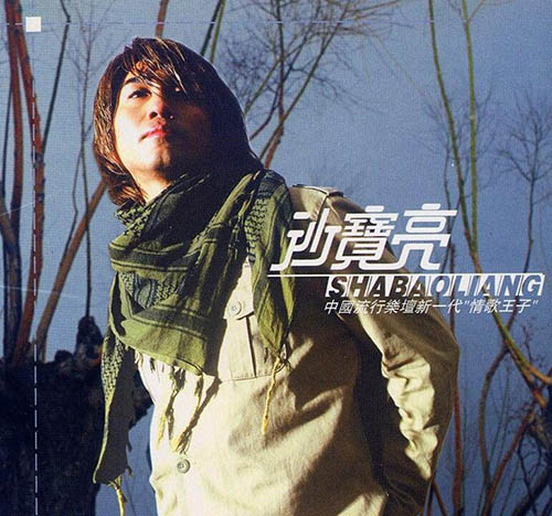 沙宝亮 同名专辑