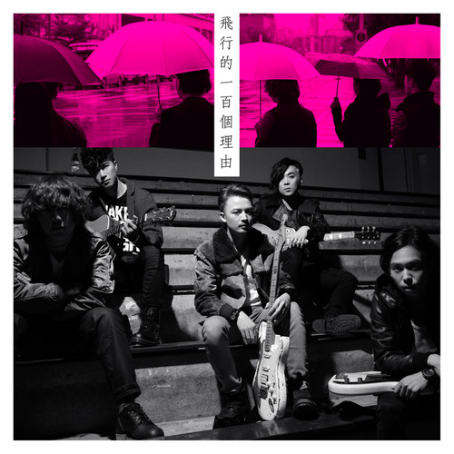 Mr. – 飞行的一百个理由