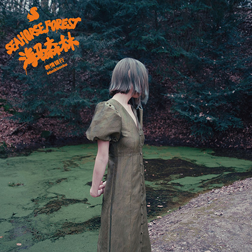 表情银行 – 海马森林