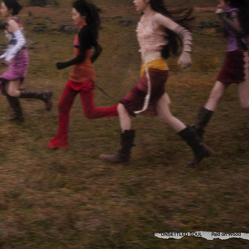 红飞林 – 心神未定Unsettled Soul