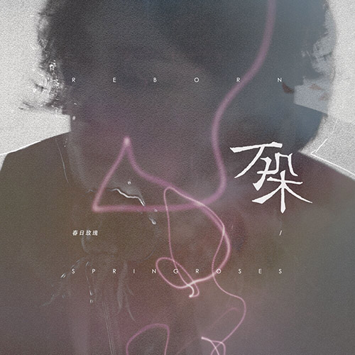 春日玫瑰 (Spring Roses) – 万朵