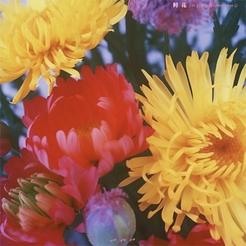 鲜花 – 回春丹