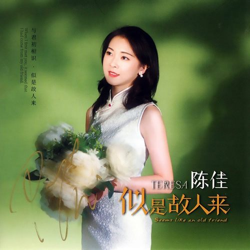 陈佳 似是故人来