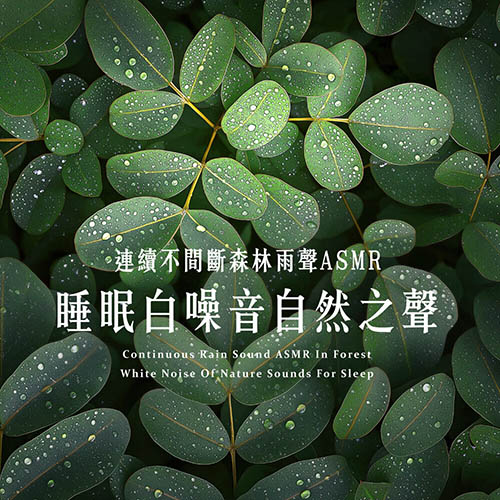 连续不间断森林雨声ASMR – 睡眠白噪音自然之声 (Continuous Rain Sound ASMR In Forest – White Noise Of Nature Sounds For Sleep)