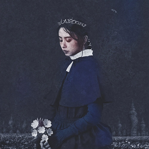 163braces – 海螺記