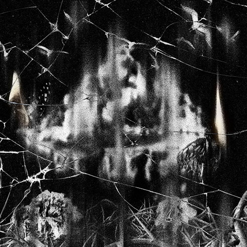 硝子羊 – 荊海