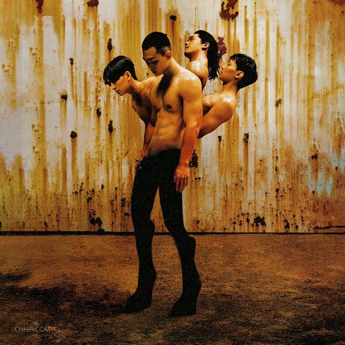 傻子与白痴 – 姿态姿态