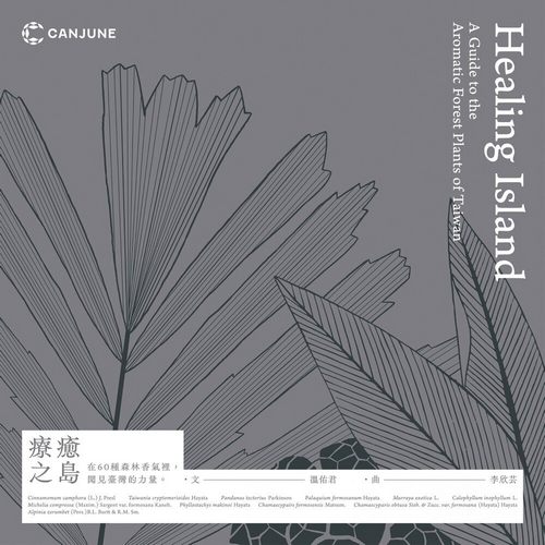 疗癒之岛 纯音乐