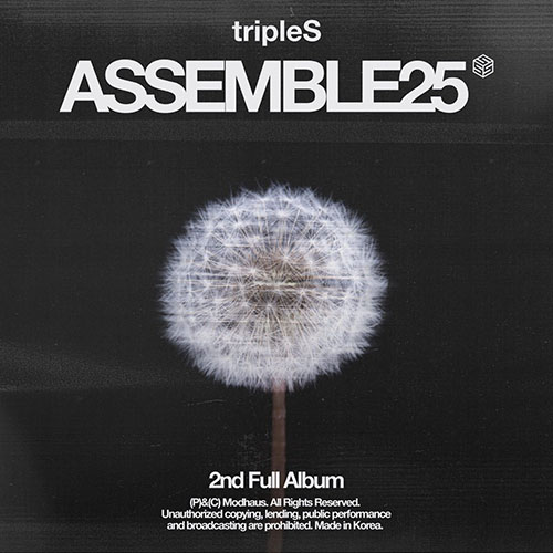 tripleS  – _ASSEMBLE25