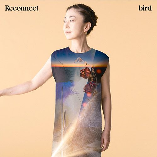 bird – Reconnect