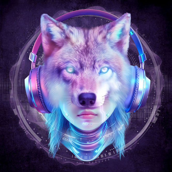 XG – XDM Unidentified Waves