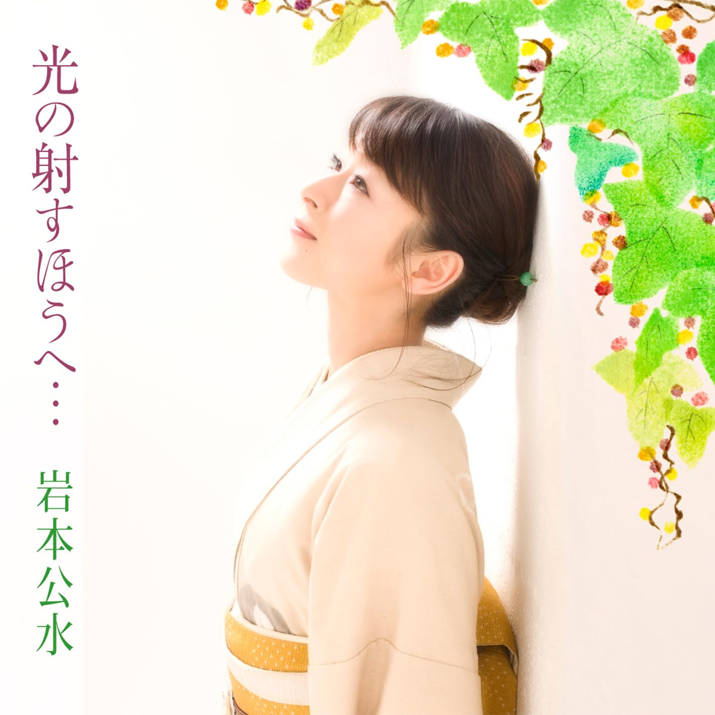 岩本公水 – Hikari no Sasu Hou e …