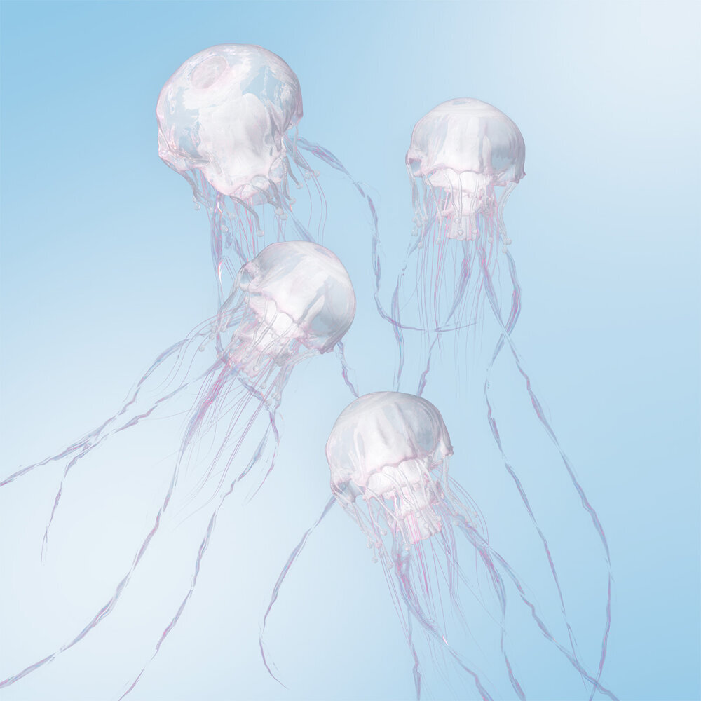 SCANDAL – LUMINOUS