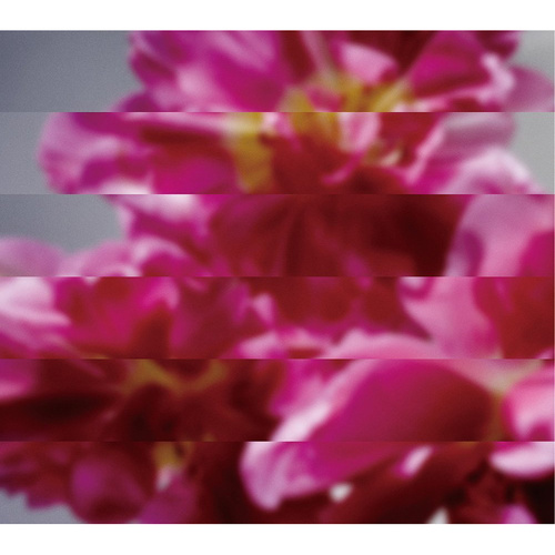 MONDO GROSSO – 何度でも新しく生まれる