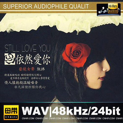 《依然爱你》发烧女声版