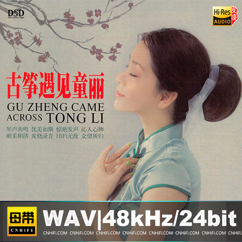 童丽《古筝遇见童丽》