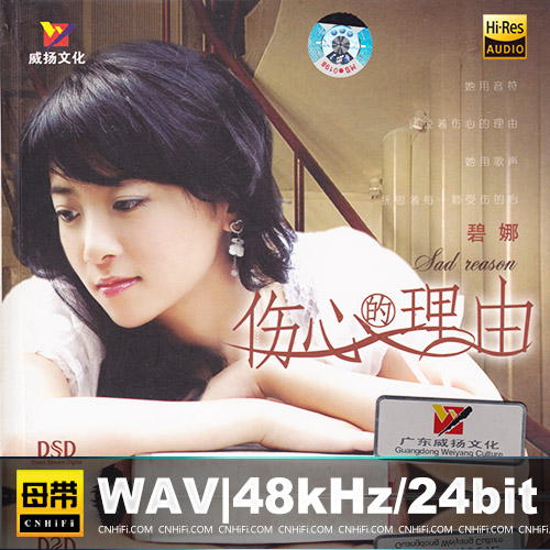 碧娜 – 伤心的理由