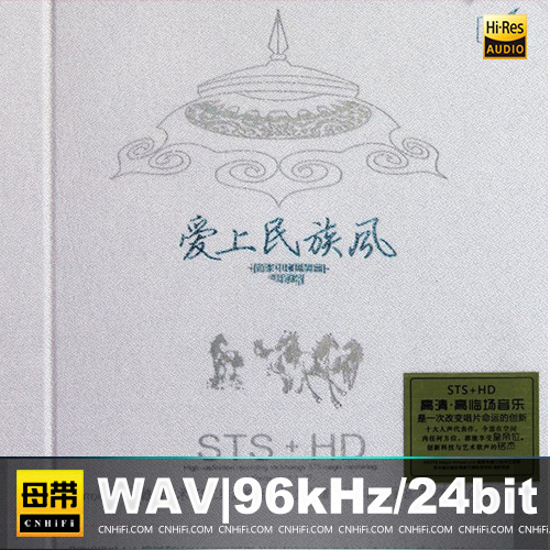 《中国风舞曲·爱上民族风STS+HD》