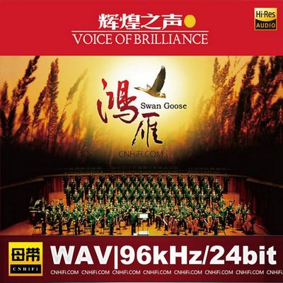 辉煌之声 IV：鸿雁