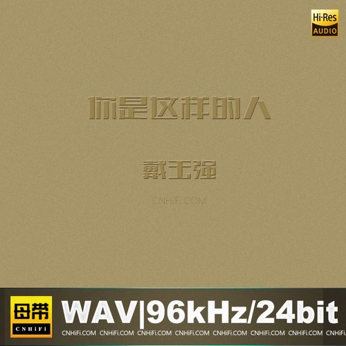 戴玉强 – 你是这样的人