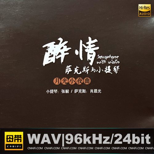 萨克斯与小提琴：醉情·月光小夜曲