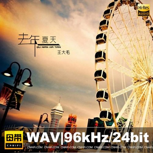 王大毛 去年夏天