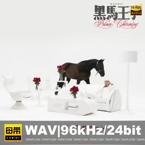 马思唯 黑马王子