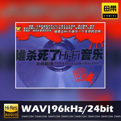 谁杀死了Hi-Fi音乐(涂鸦精选VOL.2)