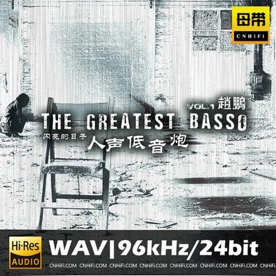 赵鹏 闪亮的日子