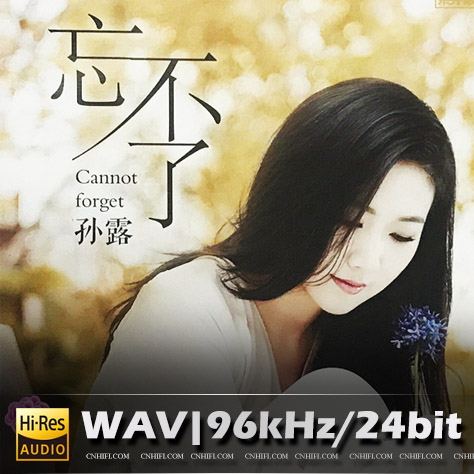 孙露 – 忘不了