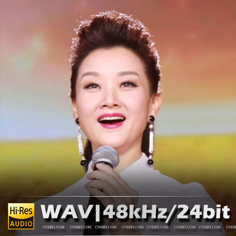 宋祖英（精选合集）