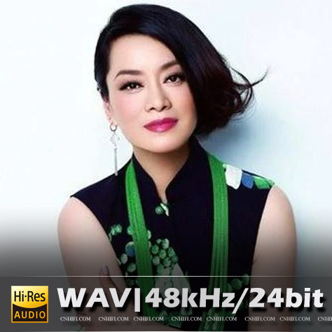 毛阿敏（精选合集）