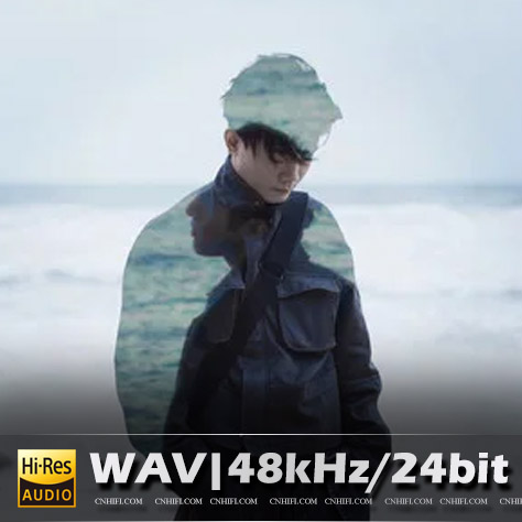 队长（精选合集）