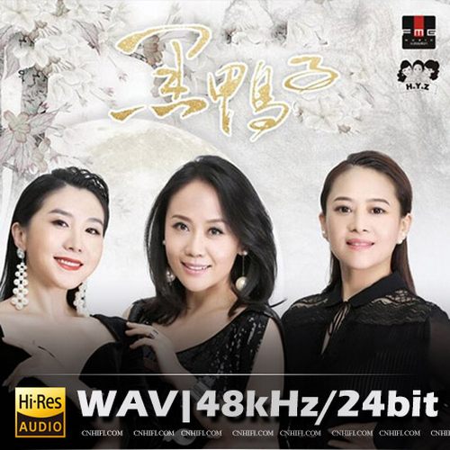 黑鸭子（精选合集）