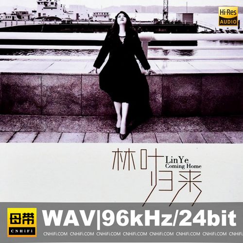 林叶《归来 ADMS》