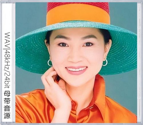 凤飞飞（精选合集）