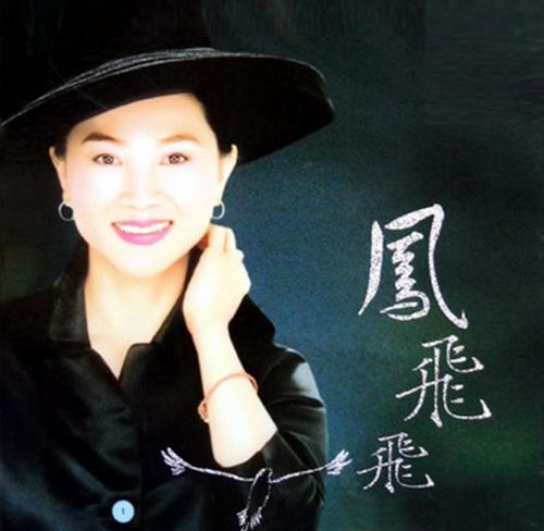 凤飞飞（精选合集）