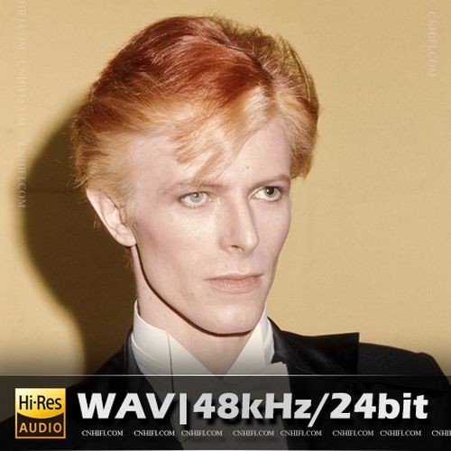 David Bowie（精选合集）