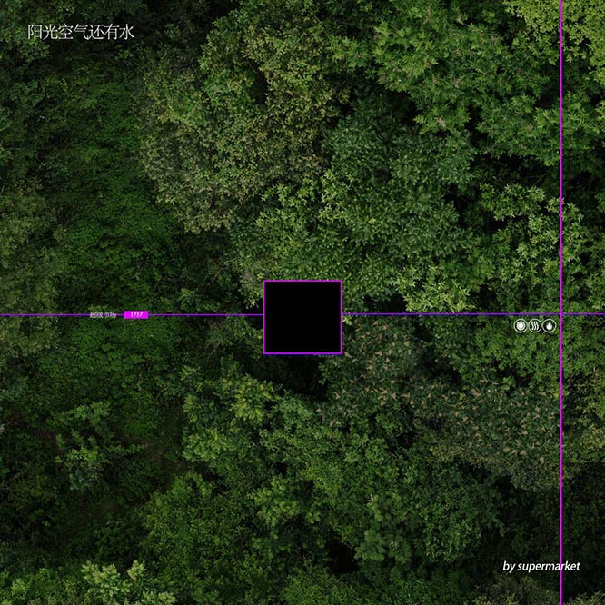 Supermarket – 阳光，空气，还有水