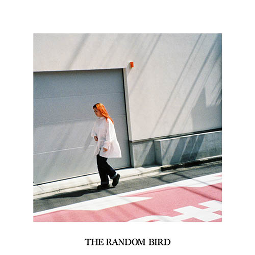 The Random Bird